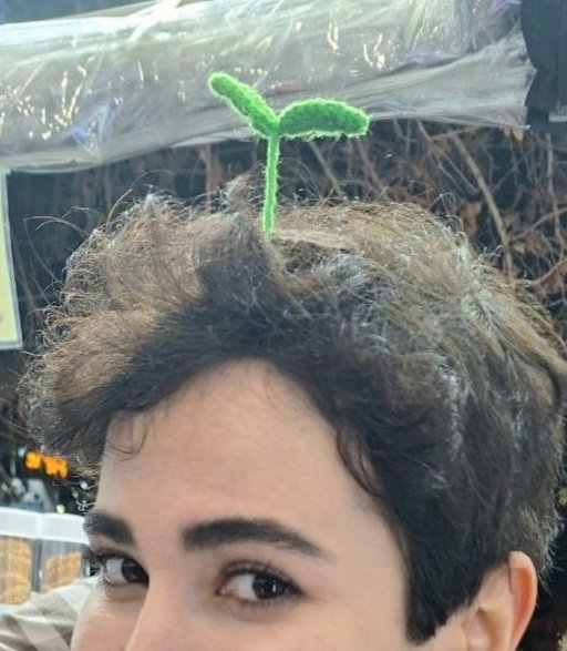 از آشفتگی درومد و جوونه زد:))