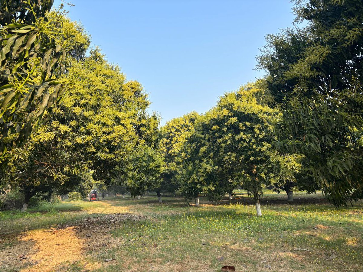 Ravi Gopal Singh tweet media