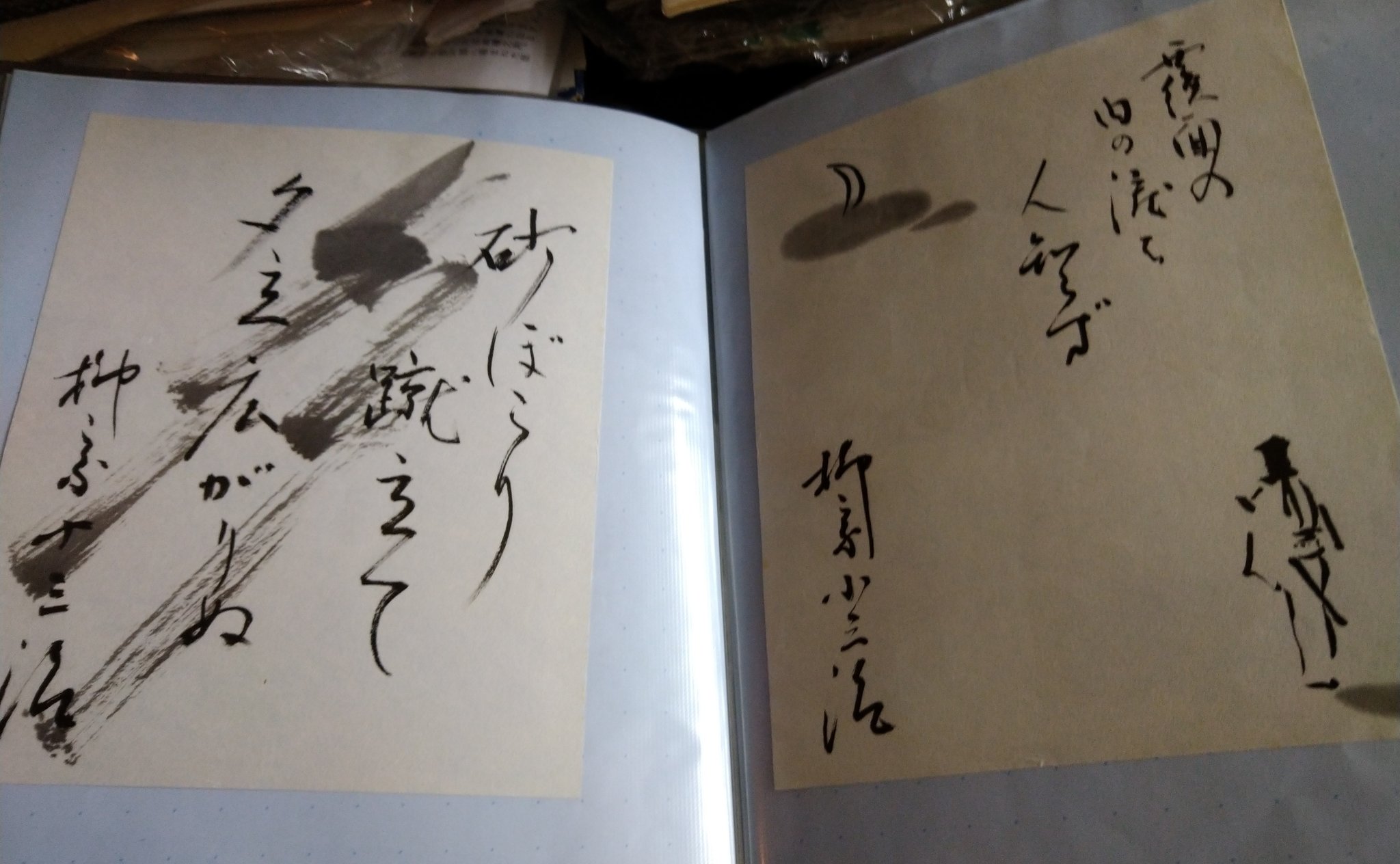 柳家小さん サイン 他抜 色紙 たぬき 落語家