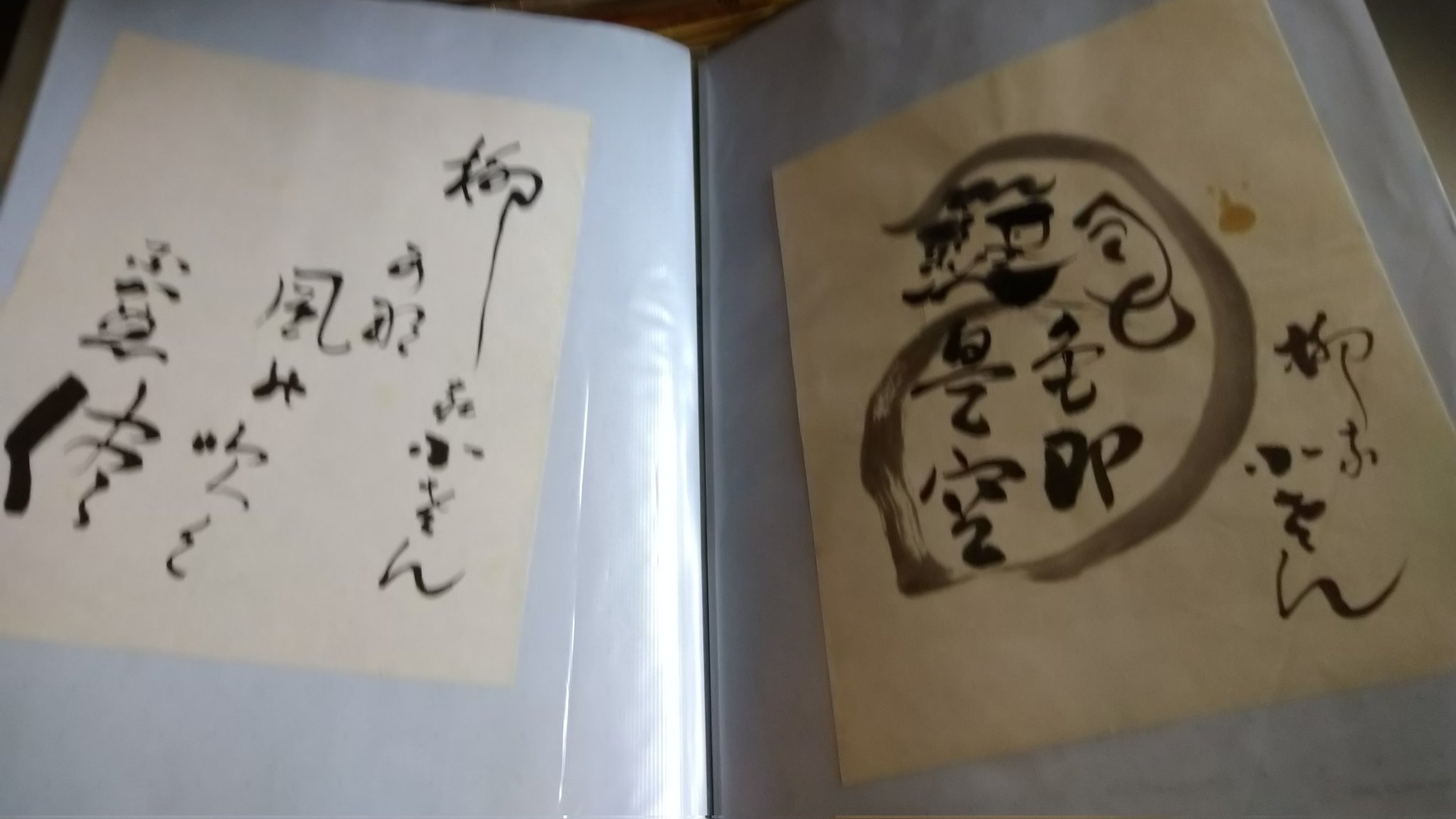 柳家小さん　サイン　他抜　色紙　たぬき　落語家 柳家小さん サイン 他抜 色紙 たぬき 落語家
