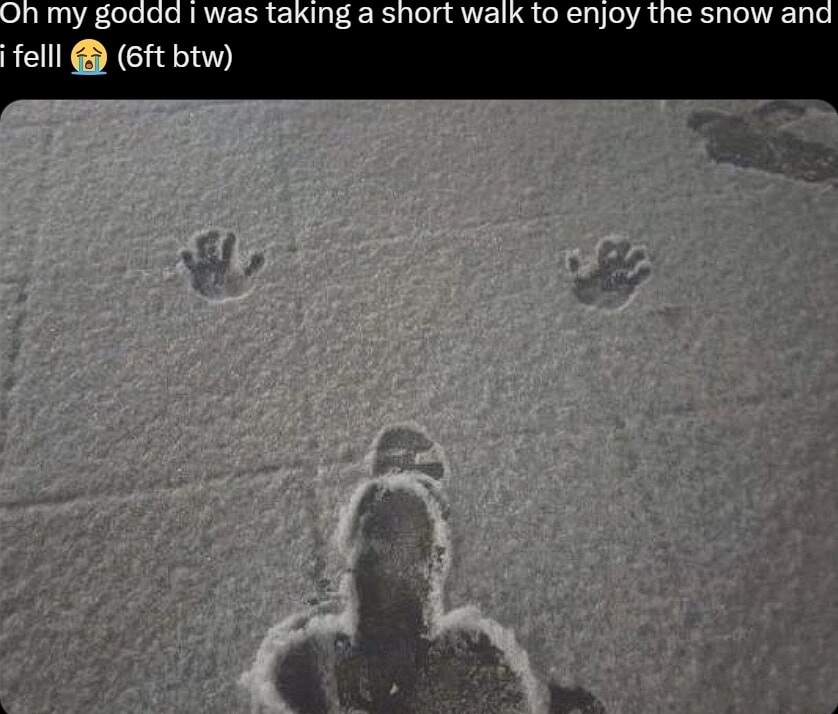 Rustic Toaster (@rustic_toaster) on Twitter photo 