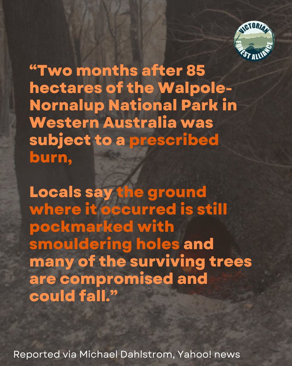 alliance_forest's tweet photo. Botched #PlannedBurn in WA has left ancient Tingle forest smouldering two months later, with trees still falling.

@waforests

➡ https://t.co/mBJ7GBsZ6O https://t.co/kq1ZrArVY3