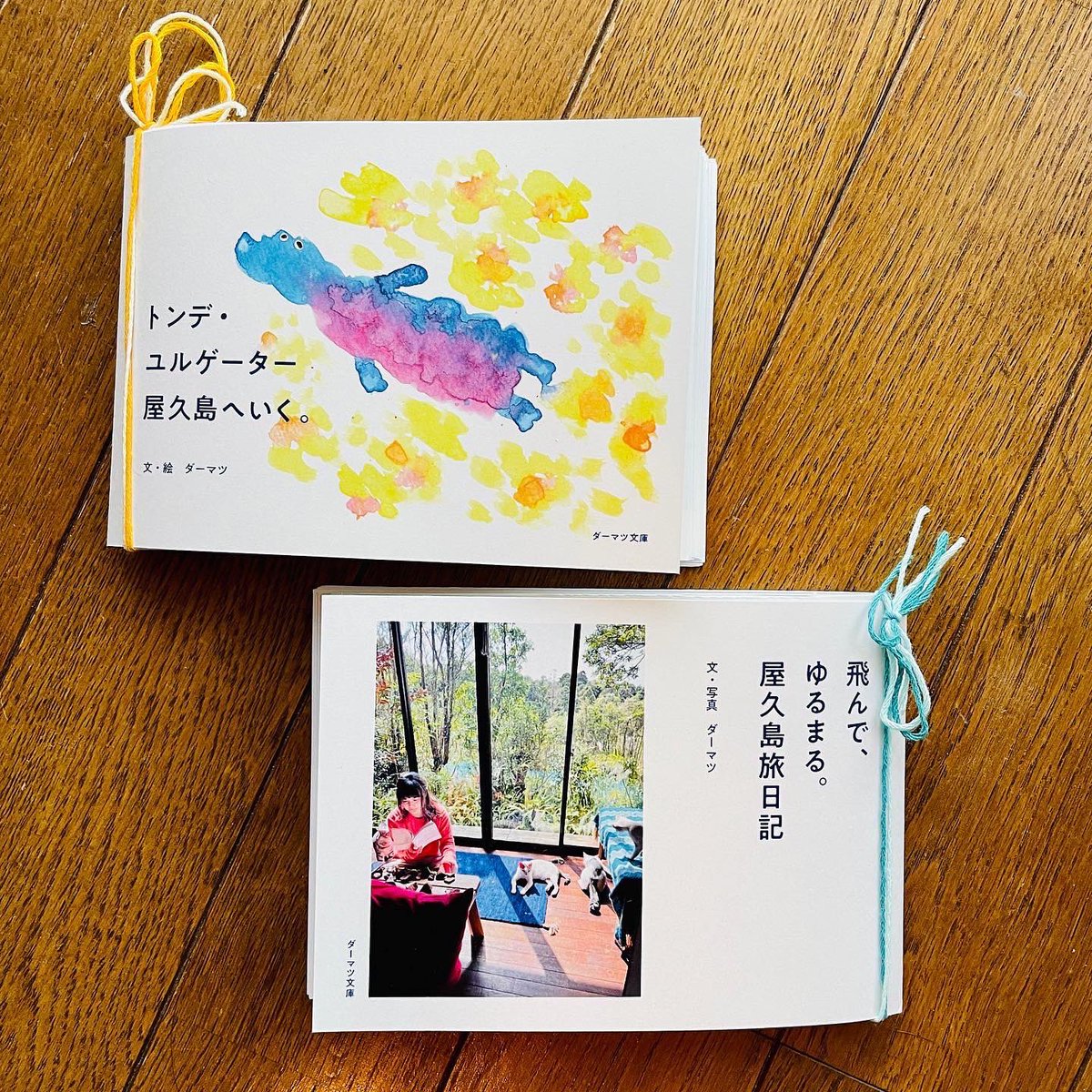 da___matsu's tweet photo. あした2/23（日）「ZINEフェス詩歌と日記」へ出展します
「​ishimedelium / ダーマツ文庫」で、石拾いの記録本、屋久島で書いた日記、絵本、母をモデルにしたフィクションの​​​日記本などを販売します☺️🪨📚✨
よかったら遊びにきてくださいっ！ https://t.co/UlE3z9pEHn