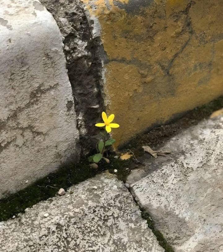 «Για κάθε ηλιοβασίλεμα, υπάρχει μια μέρα που έρχεται. 
Για κάθε όνειρο που τελειώνει, υπάρχει ένα που γεννιέται. 
Τίποτα δε σβήνει όσο υπάρχει η ζωή»

~ P.Coelho 

youtu.be/xhtarMUqxw8?fe…