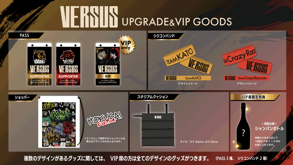 VERSUS アップグレードチケット券売中 明日2月23日(日) まで 通常 