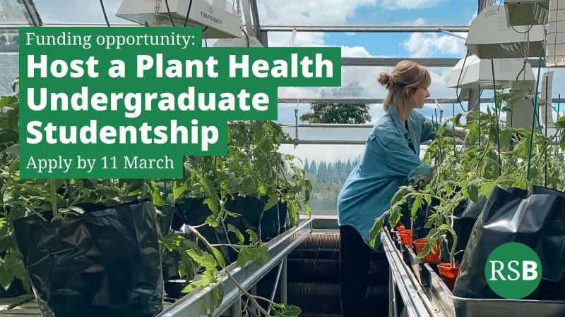 🌱 Are you a researcher looking to inspire the next generation of plant scientists? Apply to host an RSB Plant Health Undergraduate Studentship this summer! ☀️🔬 Funding is available to support research costs. 🌿
