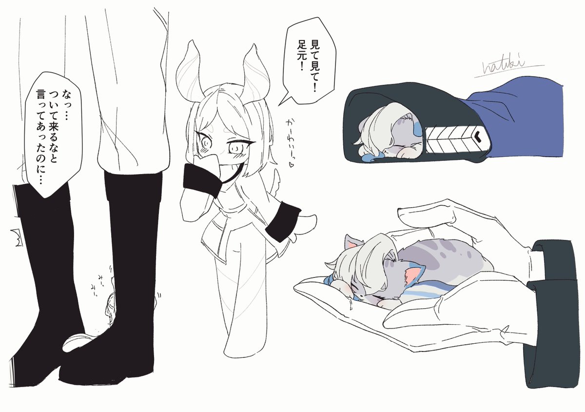 ヴォとこぬこさん再掲しておきます😊 