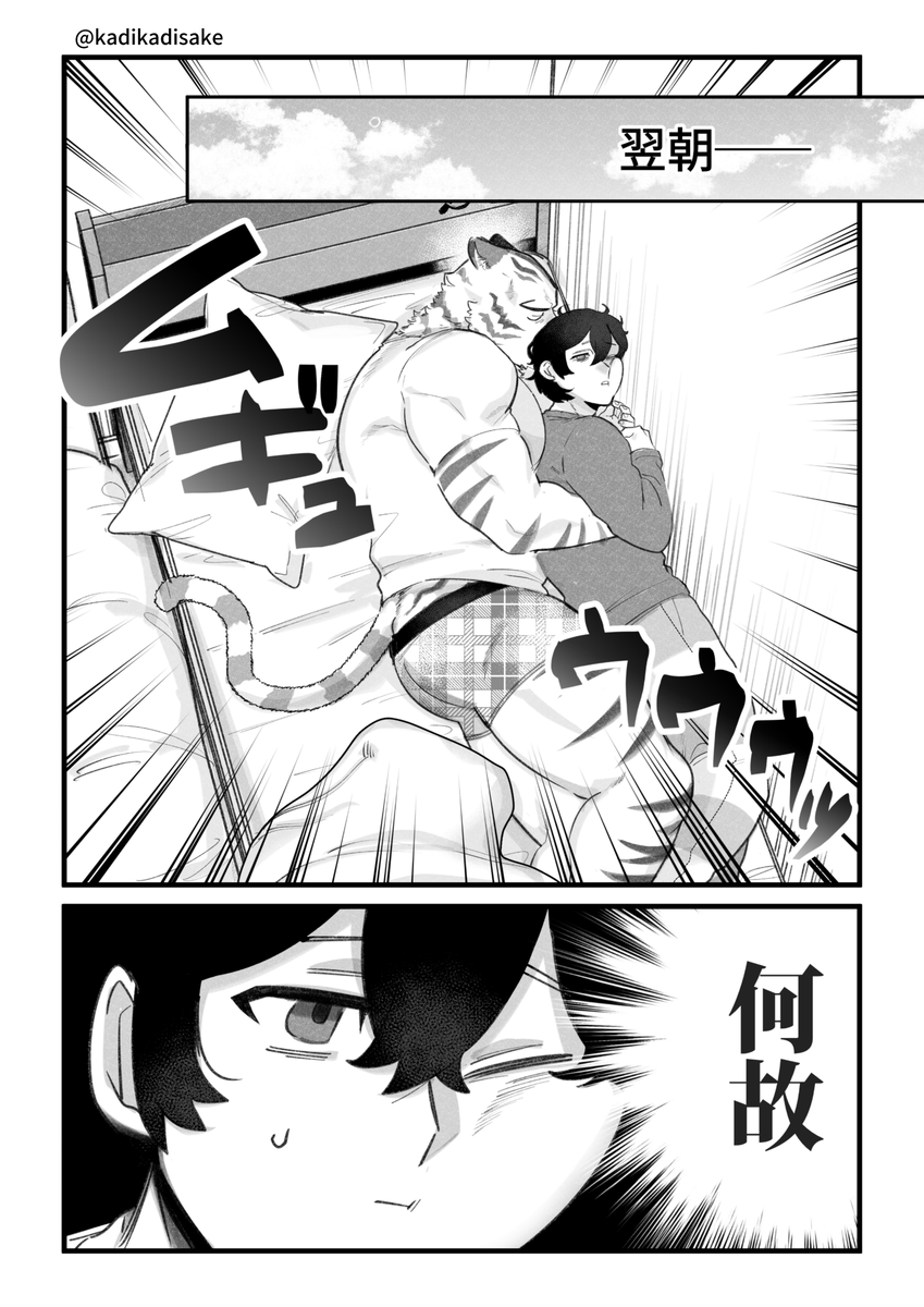 猫系の彼氏と一緒に寝ると大体こうなっている(2/3) 