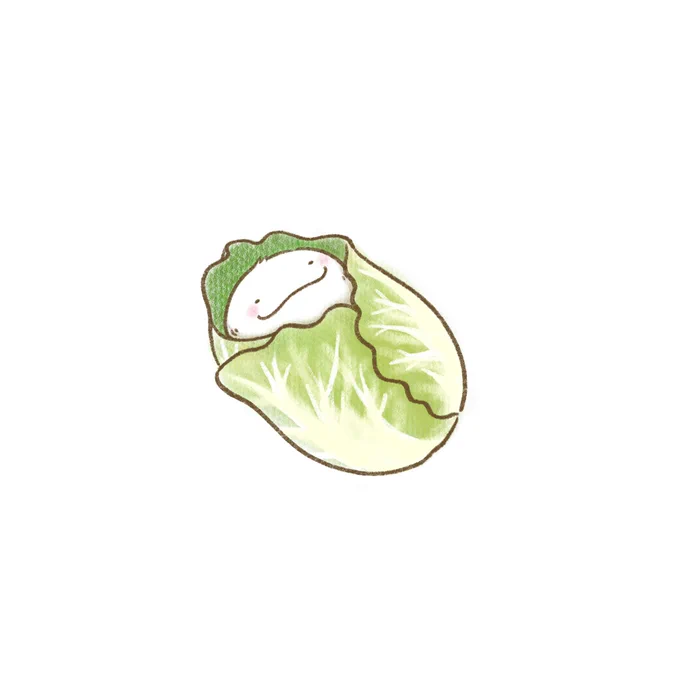 これは間違って描いた白菜おくるみモフ太あやうく白菜クラブになるところだった 