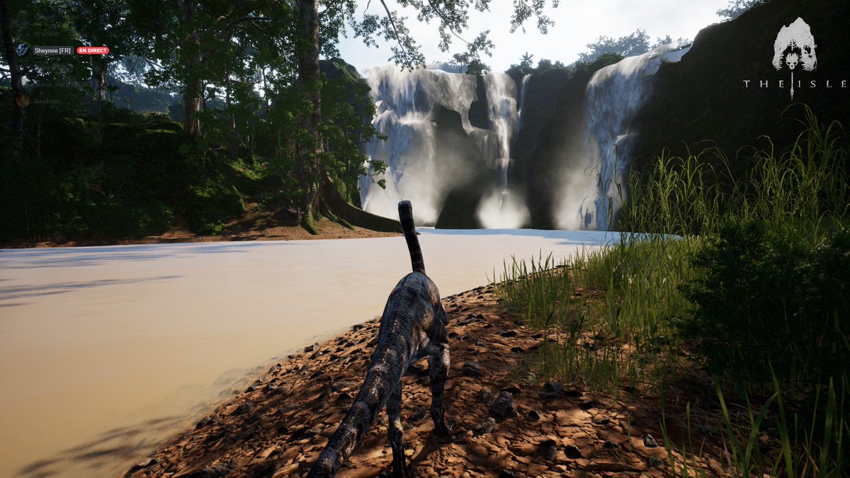 DenverIsle's tweet photo. Hey la commu voici les screen du jour  
Venez jouer sur Denveur !     
Serveur No Official :  Denver [EU] Low Rules - AI &amp; FREE STORAGE    
Discord: https://t.co/8jfQWMSfZz

 #theisle #theislegame #theislegameplay #theisleevrima #Follow #nature #cute #followme https://t.co/qFGF3yh76z