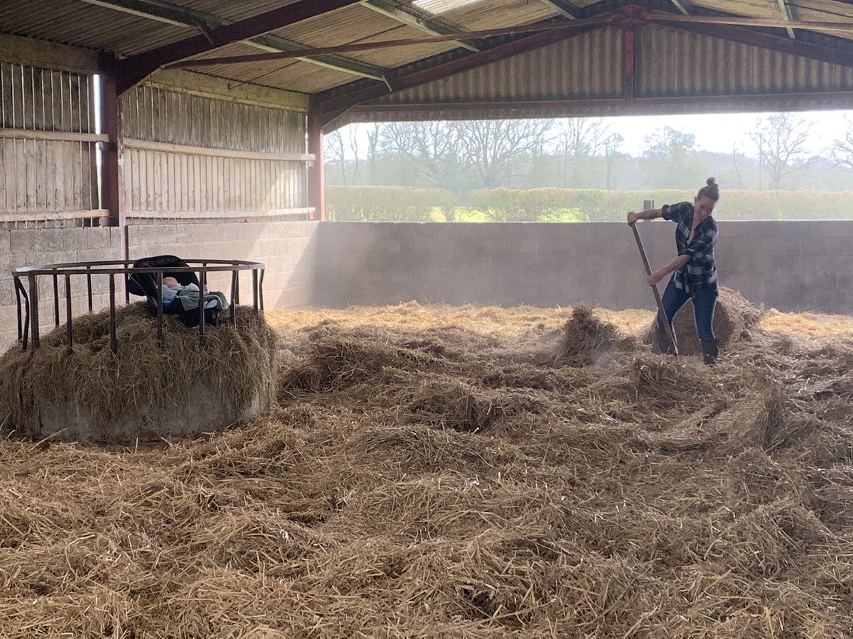 Phil Nash tweet media