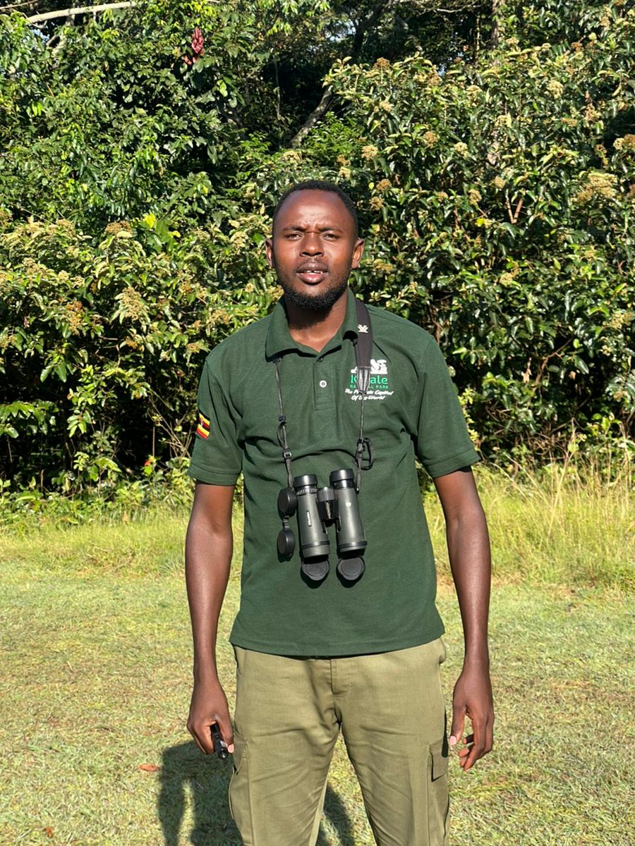 perez_rukiri's tweet photo. Saturday 
#birdguide 
#NatureLovers 
#birdwatching https://t.co/0iMCHg317R