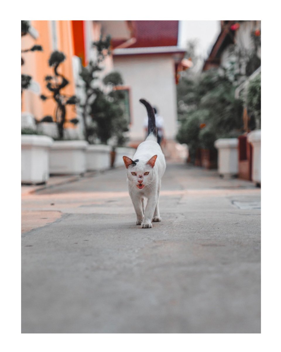 Bien arrivé à Bangkok 🙏🏼 ajt @visuel_ga sur Instagram pour suivre mon aventure ✈️