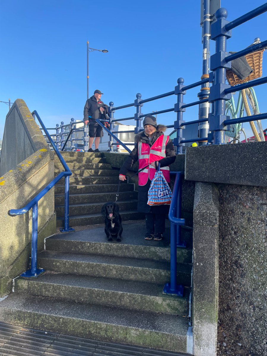 Rees Morrell tweet media