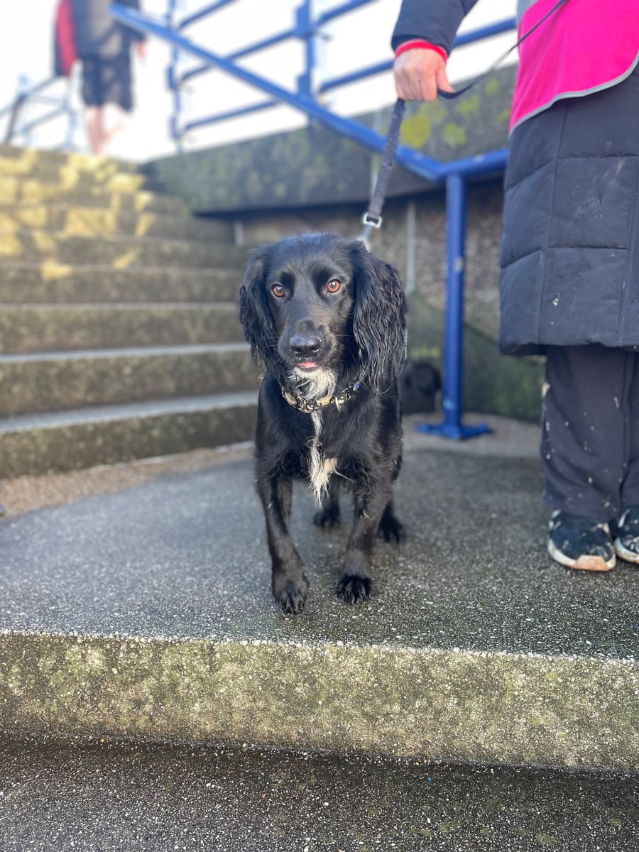 Rees Morrell tweet media