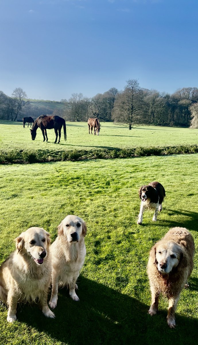 When it’s not always raining,
There’ll be days like this…