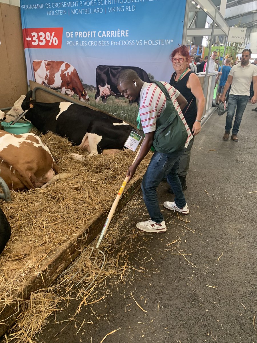 Dr_Dakiller's tweet photo. Le Sénégal va célébrer, ce samedi 22 février 2025, la 9ème édition de la Journée de l'Elevage, une occasion encore une fois d’apporter ma modeste contribution aux orientations qui sont données dans le Sénégal Vision 2050. @Mabouba_Diagne_
@SonkoOfficiel @PR_Diomaye 👇🏾👇🏾👇🏾 https://t.co/XoKrlduYaT