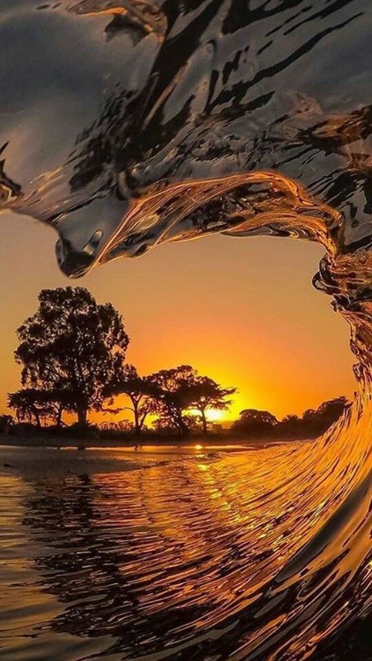 私たちに最も必要なのは、地球が泣いている音を心の中で聞くことです。