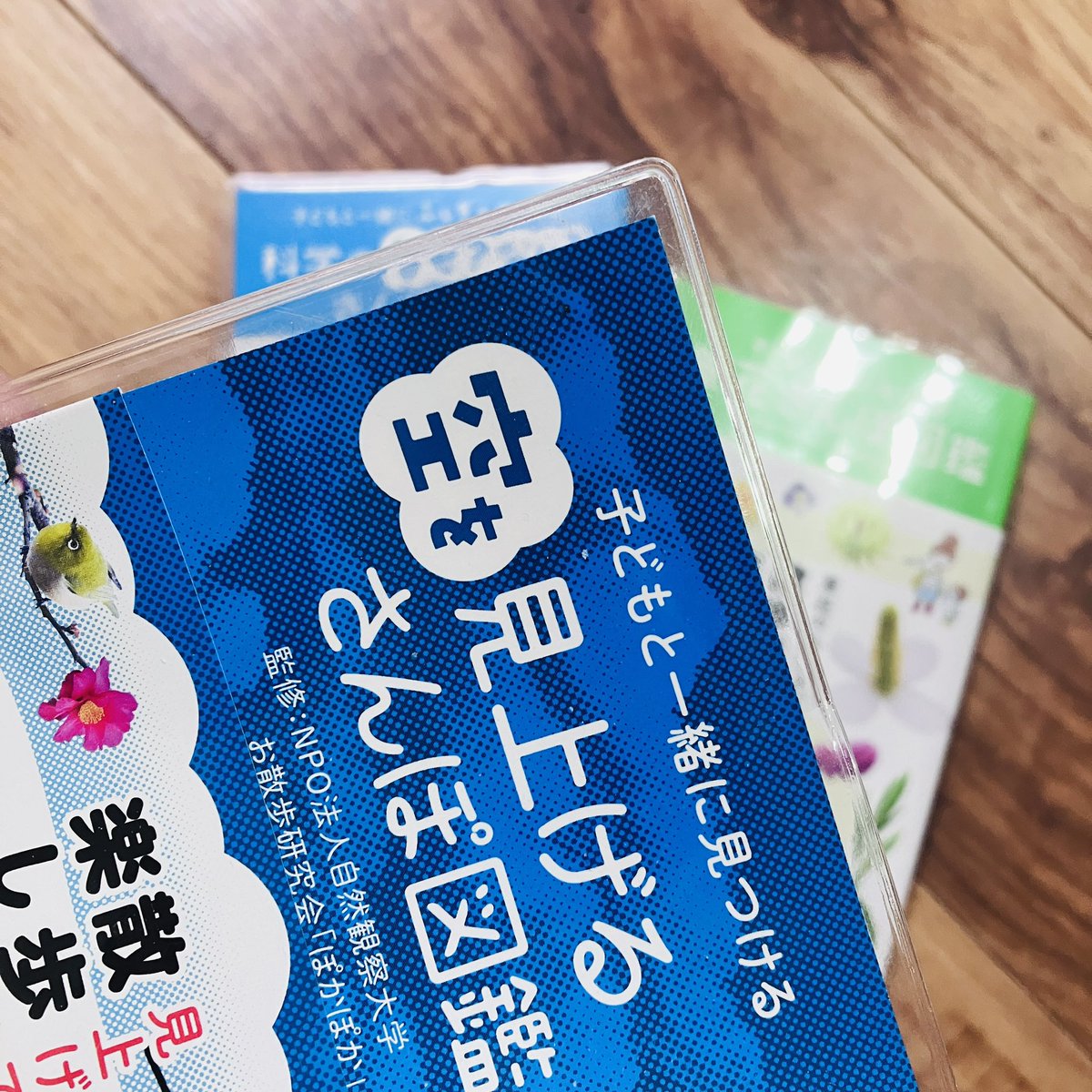 nao_modash2's tweet photo. このおさんぽ図鑑凄く気に入ってるんだけど、何がいいってビニールカバーがかかってる事なんだ😁 https://t.co/WOYn5O7VjX