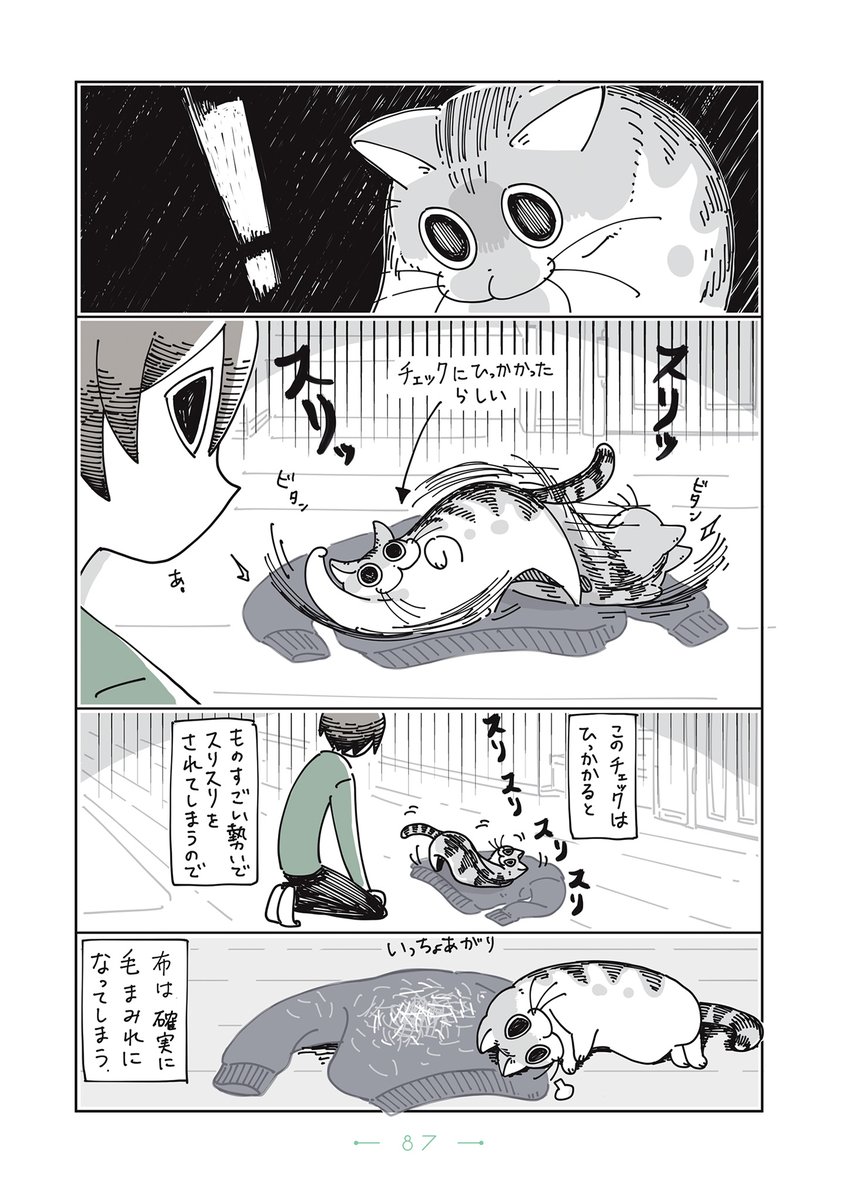 キュルZ tweet media