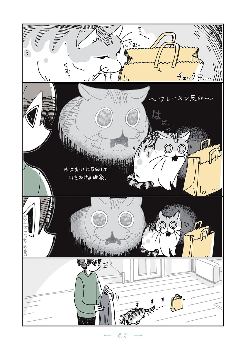 キュルZ tweet media