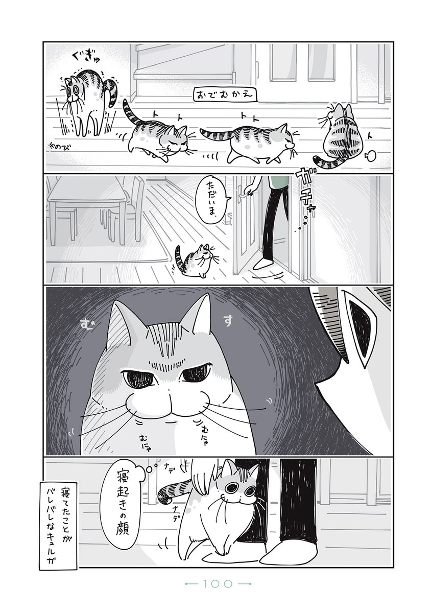 『夜は猫といっしょ』まとめ(3/10) 