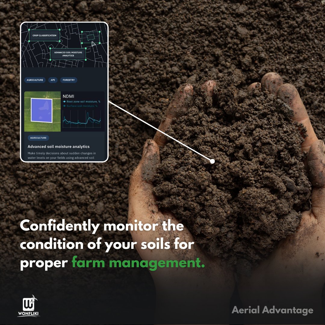 Wonfliki tweet media