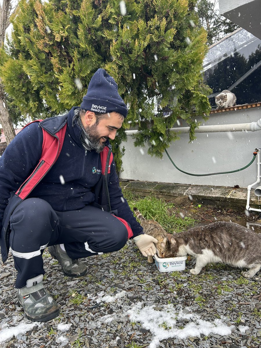 Beykoz_Bld's tweet photo. ❄️🐾 Soğuk havalarda can dostlarımızı yalnız bırakmıyoruz.

Belirli noktalara mama desteği sağlıyor, minik dostlarımızın yanında olmaya devam ediyoruz. Çünkü sevgi paylaştıkça içimizi ısıtıyor. 💙

#CanDostlarımızİçin #BirKapMamaBirUmut

👇🏻 https://t.co/i1e3tbZWdr