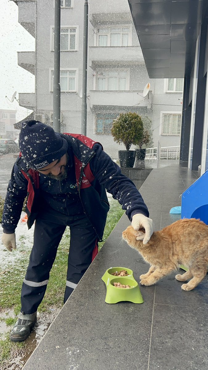 Beykoz_Bld's tweet photo. ❄️🐾 Soğuk havalarda can dostlarımızı yalnız bırakmıyoruz.

Belirli noktalara mama desteği sağlıyor, minik dostlarımızın yanında olmaya devam ediyoruz. Çünkü sevgi paylaştıkça içimizi ısıtıyor. 💙

#CanDostlarımızİçin #BirKapMamaBirUmut

👇🏻 https://t.co/i1e3tbZWdr
