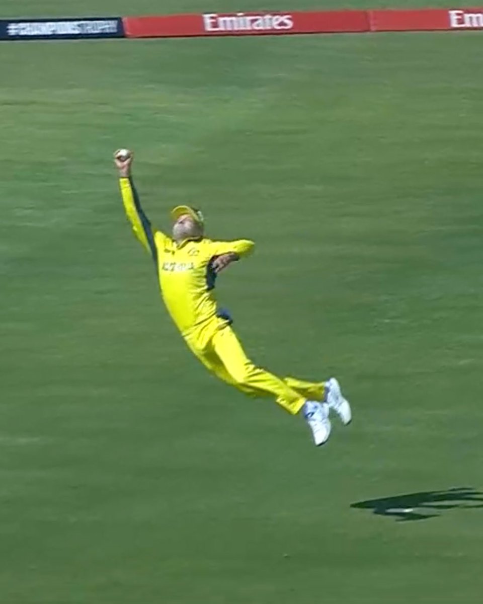 Did Alex Carey just become the world’s best fielder? #iccchampionstrophy2025 #Kez #AUSvsENG