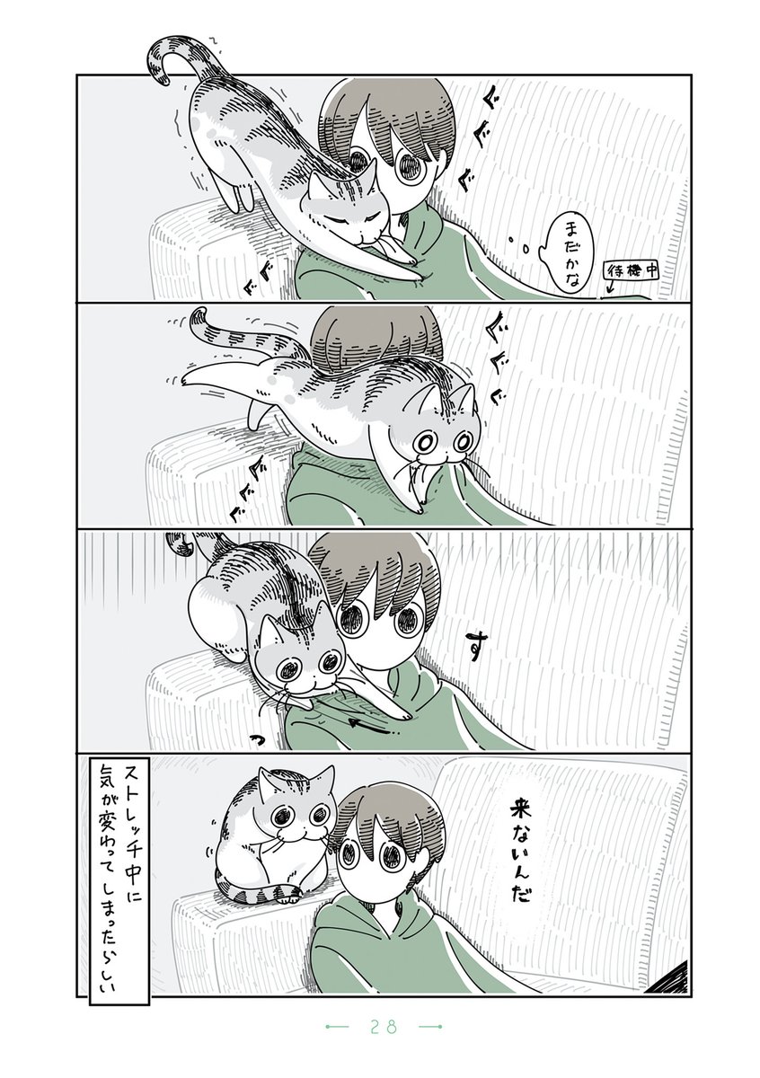 『夜は猫といっしょ』まとめ(9/10) 