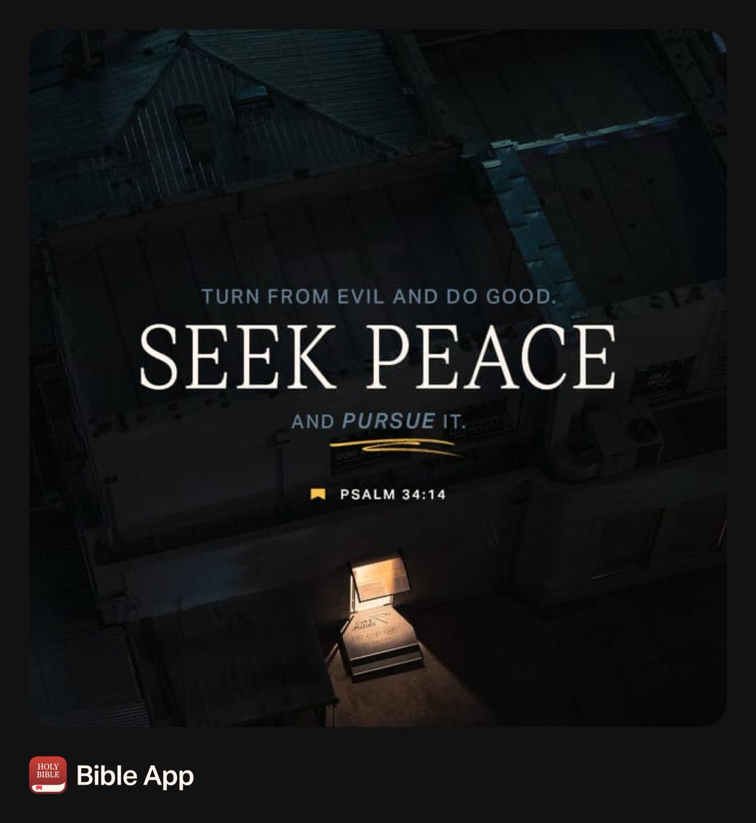 Cassandra Jackson tweet media