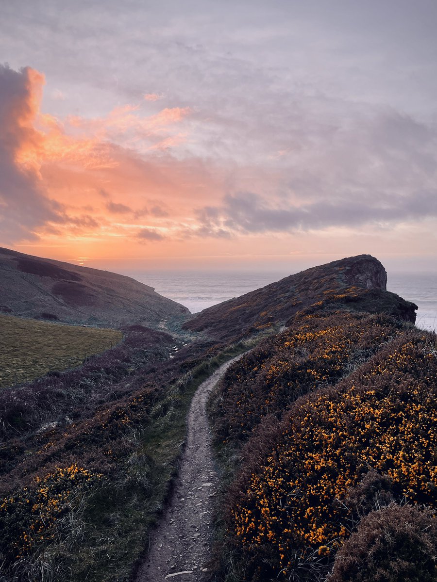 A couple of sightings of the whale far out in the bay and the song of the skylarks as the light faded along the South West Coast Path