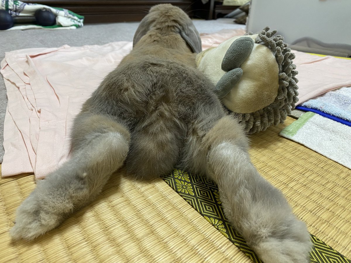 kiseopeeeeeee's tweet photo. #うさけつ発表会 https://t.co/NUEq2bRlRC