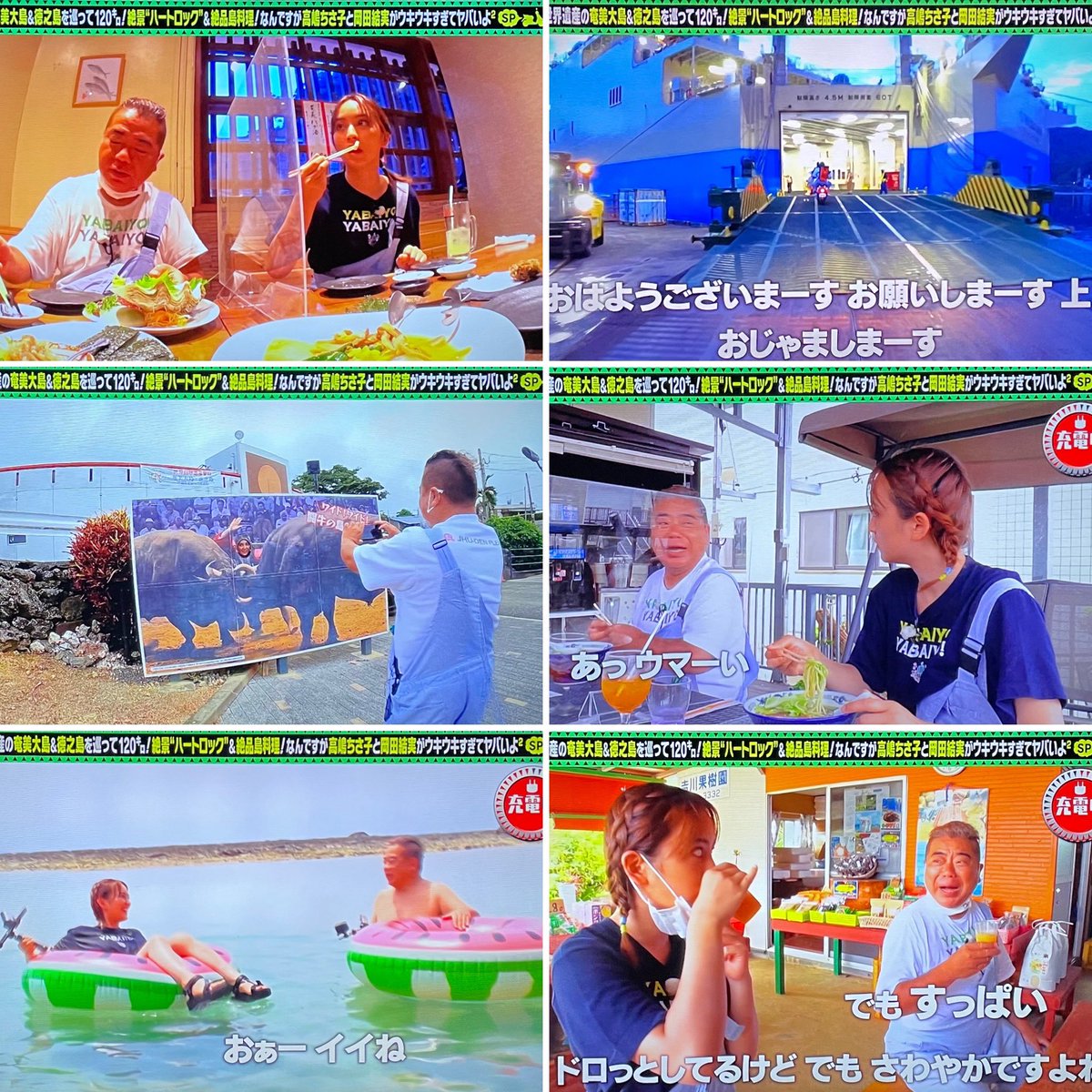 出川哲朗の充電させてもらえませんか 出川さん&岡田結実さんの旅