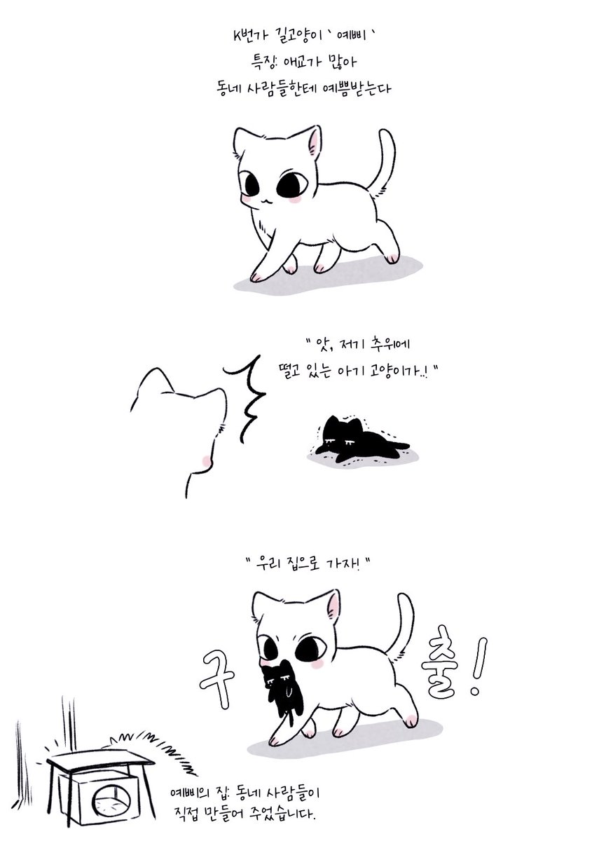 sangogi_'s tweet photo. 길고양이 예삐 https://t.co/LTy3w9TMS6