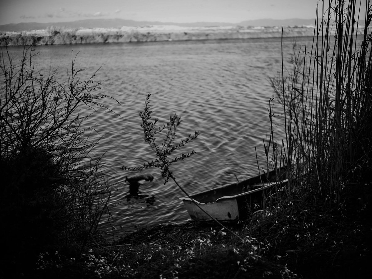 Ecco il nuovo numero del manifesto sardo, il numero394 del 21 febbraio 2025. Grazie a tutte le persone che hanno collaborato alla pubblicazione. La foto di apertura è di Roberto Pili. Buona lettura.
manifestosardo.org/il-numero-394/