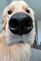 Van 17 graden warm en droog naar 10 graden en nat. Dat vindt het lijf niet leuk. Nou ja, niet klagen maar dragen, bidden om kracht en vragen om meer.
Goedemorgen allemaal.
🙏♥️🍀
#daklozen #dakloze #Arnhem