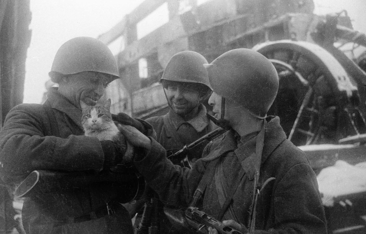 Soviet Images tweet media