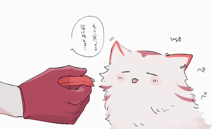 🐱 