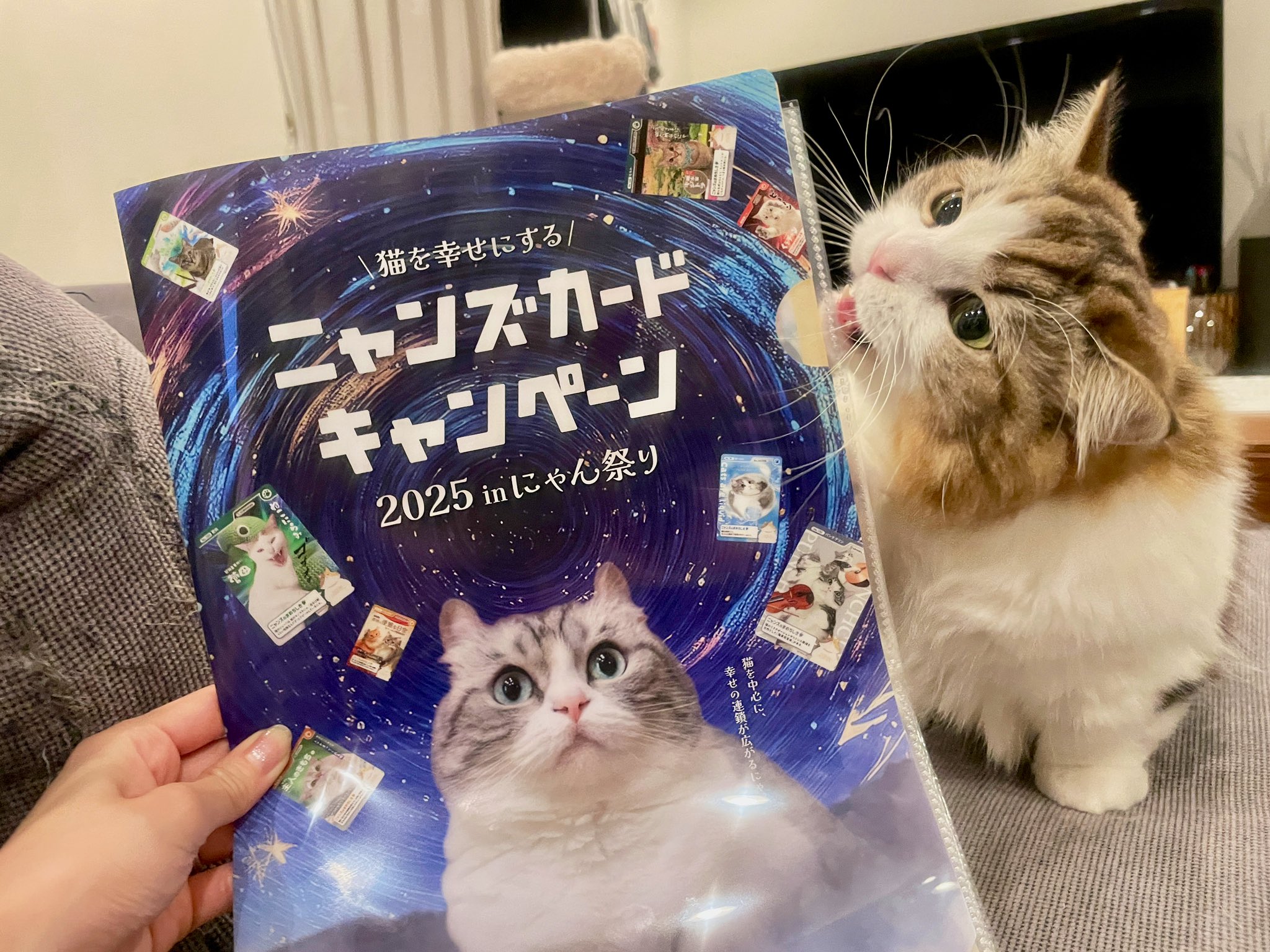 ★うらら★ うらら🥹10月22日O-EAST😼 (@dennou_urara) / X