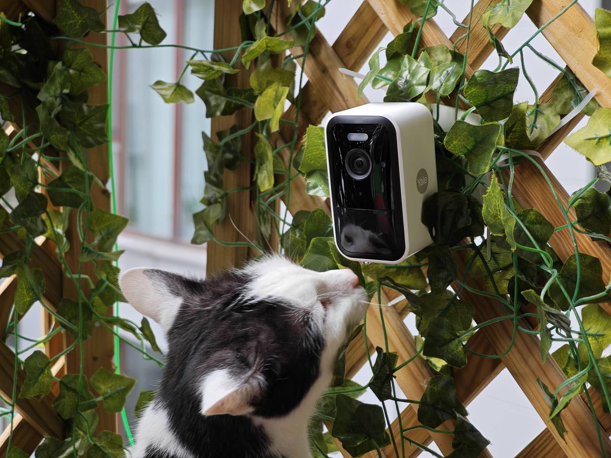 TECHNOSenior1's tweet photo. Bezpieczeństwo domu to priorytet.  Jak sprawdza się w praktyce #Yale #SmartOutdoorCamera? Czy warto w nią zainwestować? Odpowiedź znajdziesz w tej recenzji!
#własnytest
#kamera #monitoring #ochronadomu   #kamerabezprzewodowa #outdoorcamera #recenzja
https://t.co/DBBNySEcI3 https://t.co/GjKRCiziro