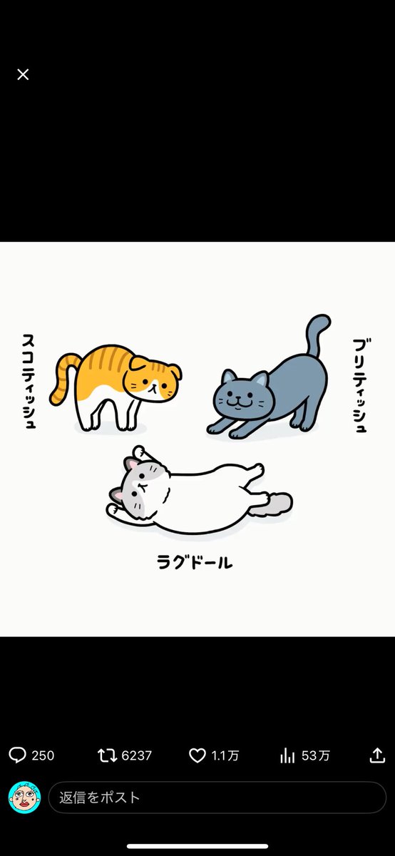 >RPできたーー!

↑脳が疲れ過ぎてこんなことしか出来ない人 