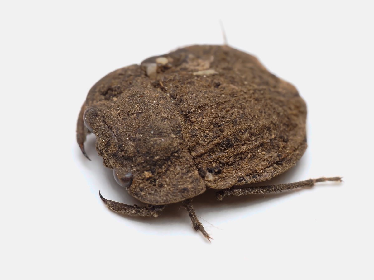 か　わ　い　い