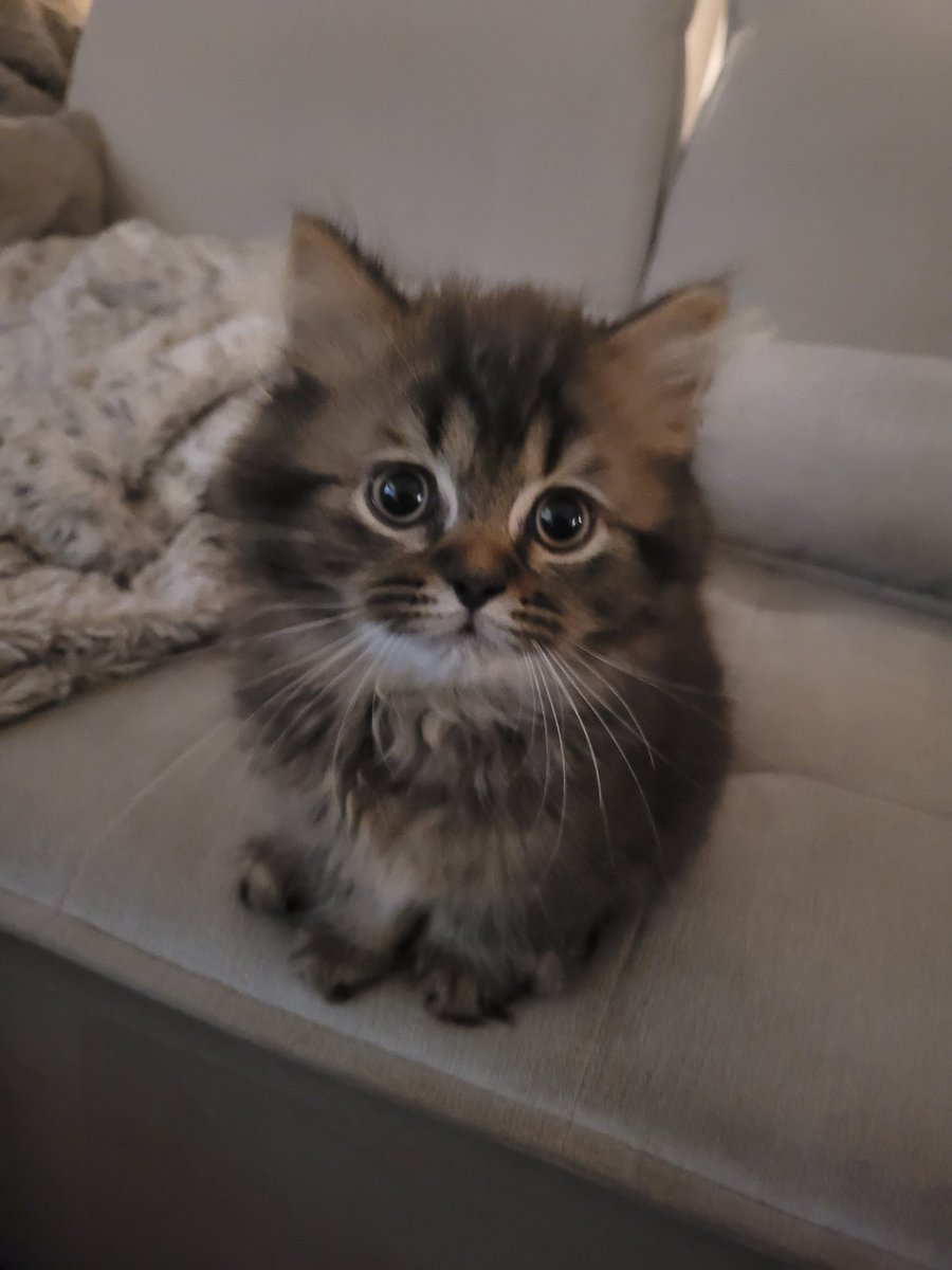 Ace, look cute
And he did