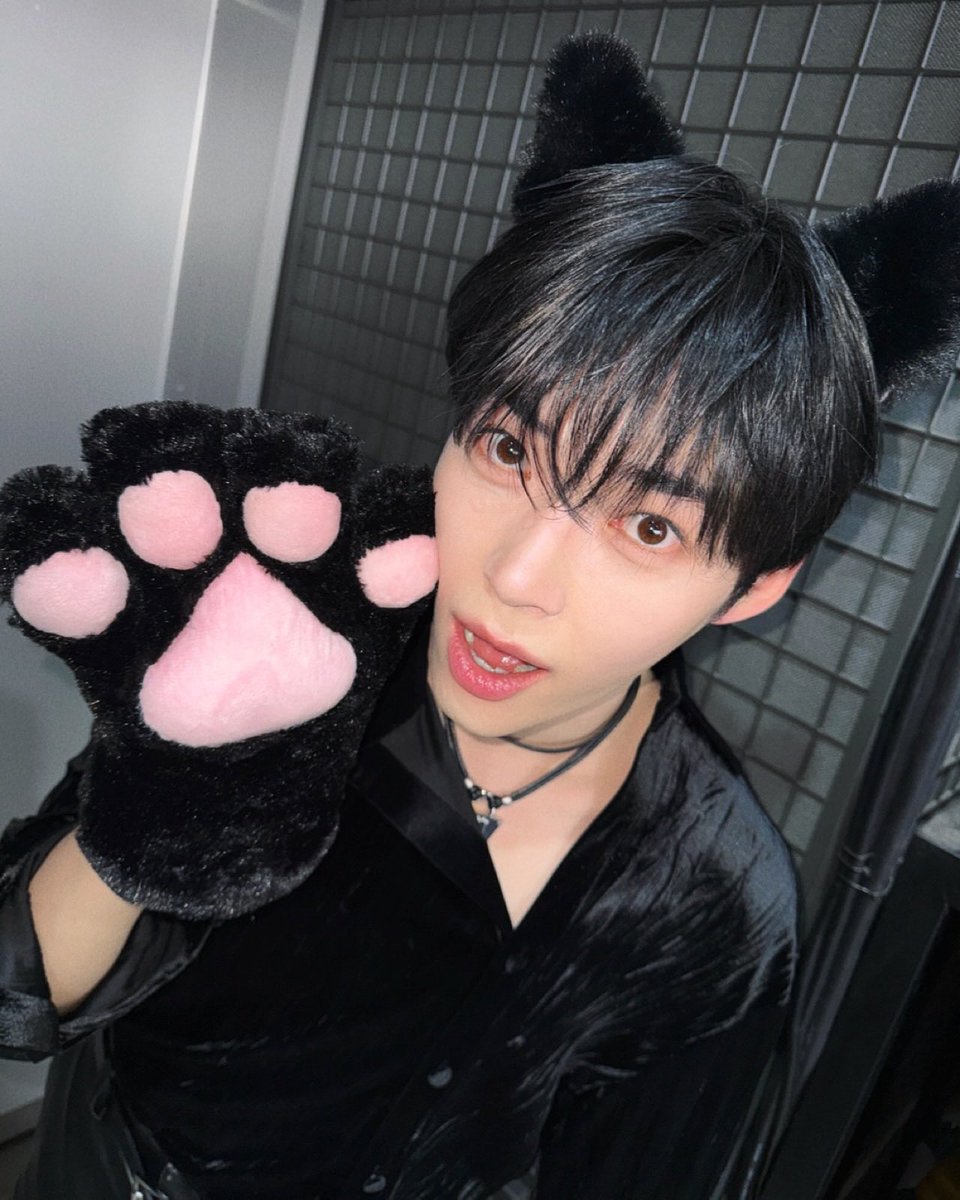 nyangbinzip's tweet photo. 냥빈이 실존……….🥺 https://t.co/VZSecXKnc0