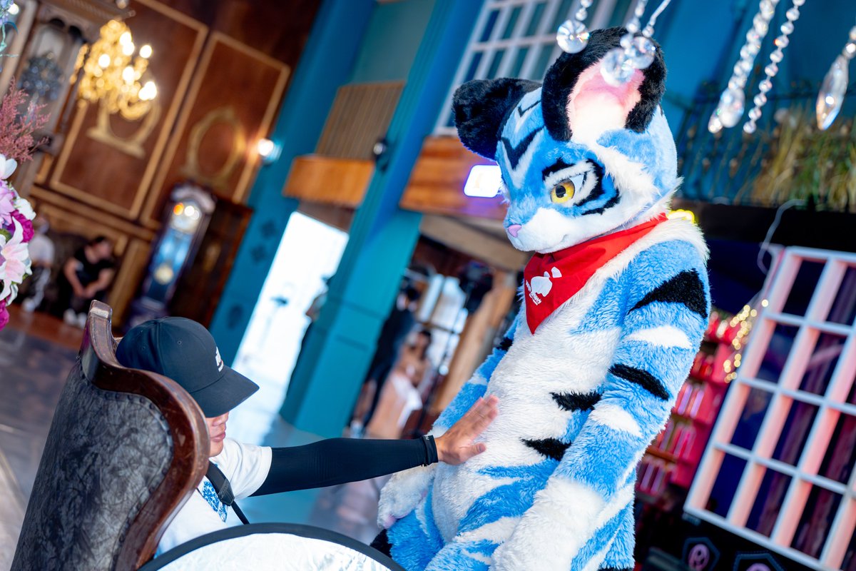 Are you okay?

📸<a href="/MountainPineTW/">山松 MountainPine 🦊🐿️ ⏭️ Loading...</a>

#FursuitEveryday