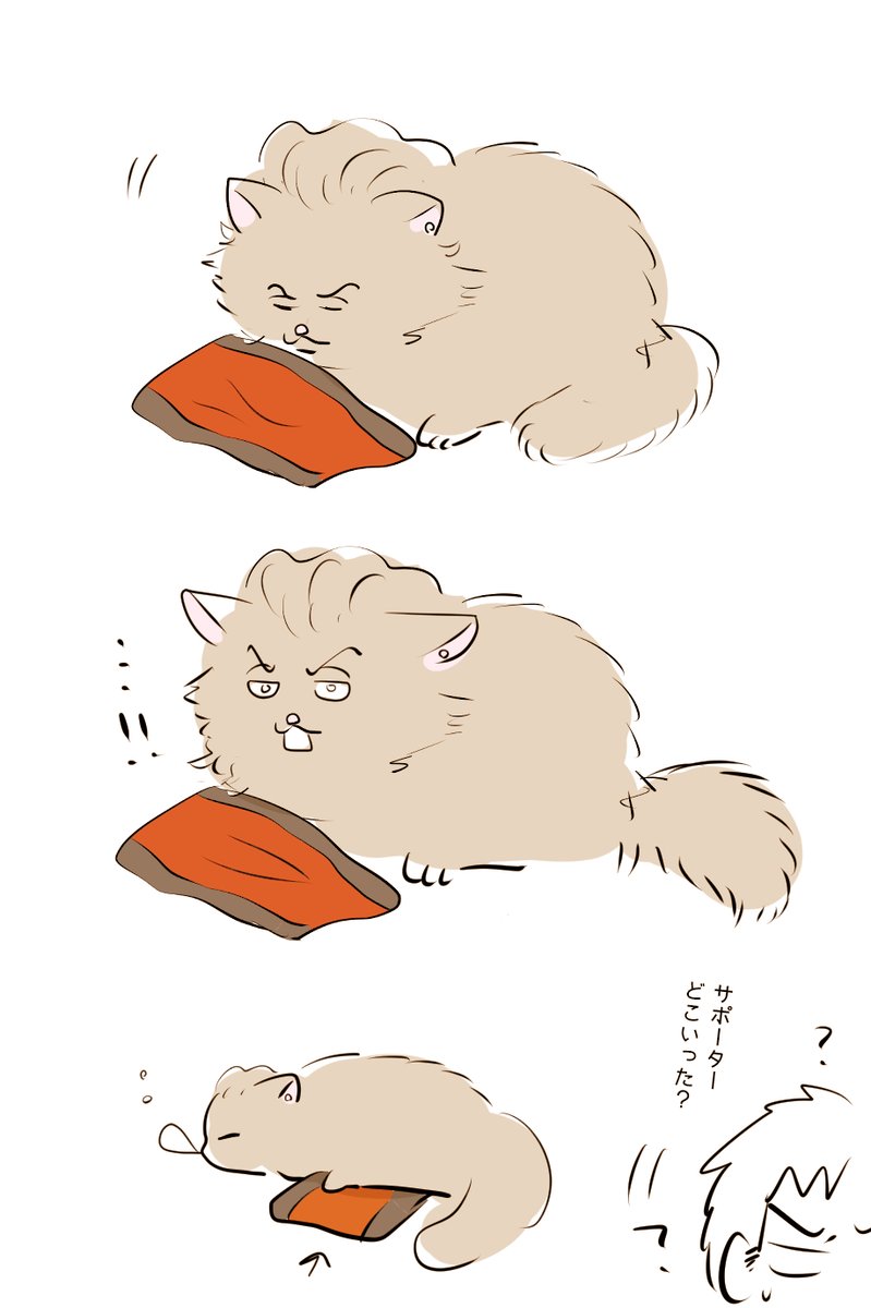 小龍包🍼 tweet media