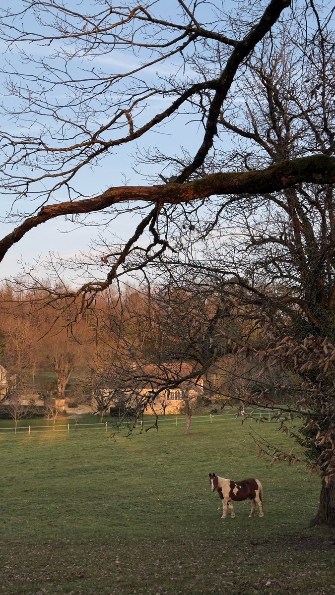 Wiss (@findingxwissem) on Twitter photo 