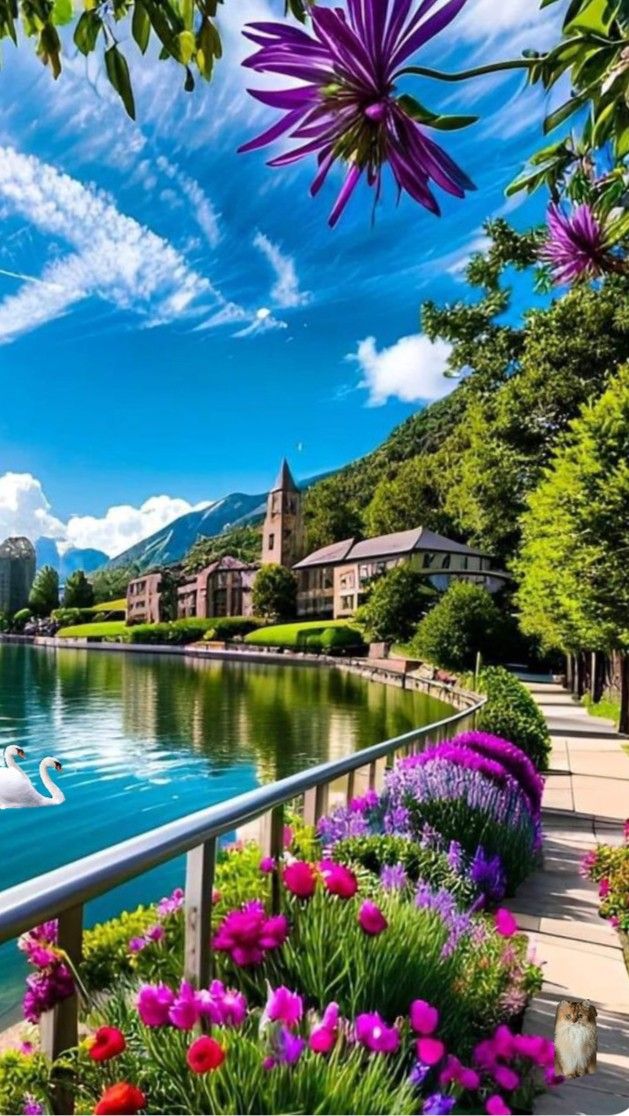 dany_grazia's tweet photo. ───✱*.｡:｡✱*.:｡✧*.｡✰ ───
           Good morning
───✱*.｡:｡✱*.:｡✧*.｡✰ ─── https://t.co/y4WiPgy9mj